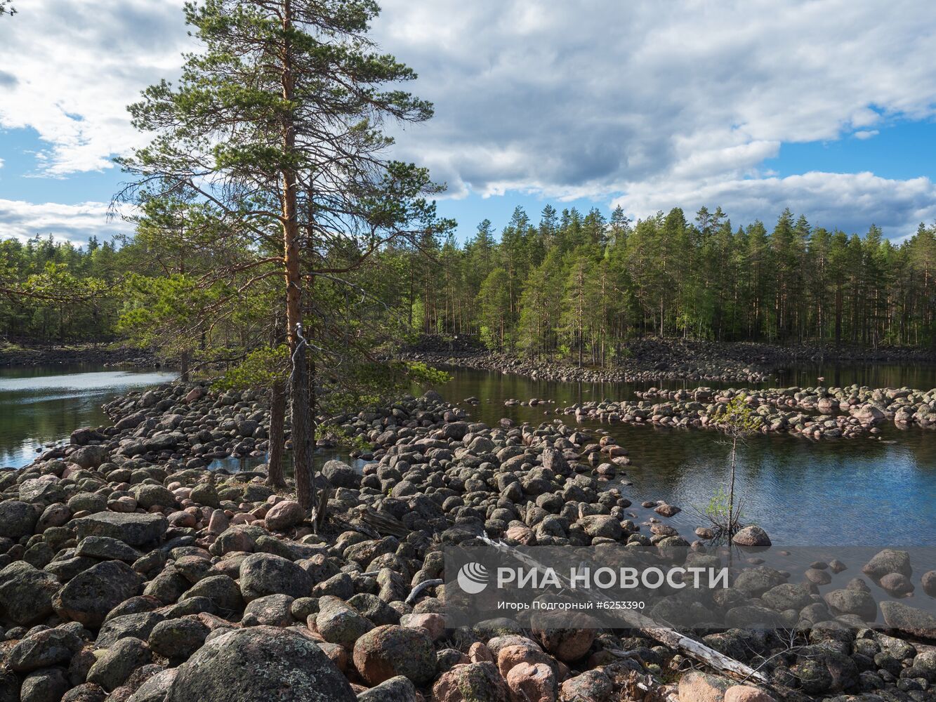 Уксинская озовая гряда в Карелии