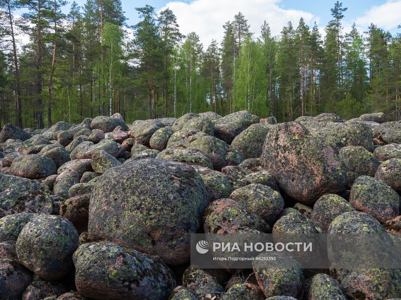 Уксинская озовая гряда в Карелии