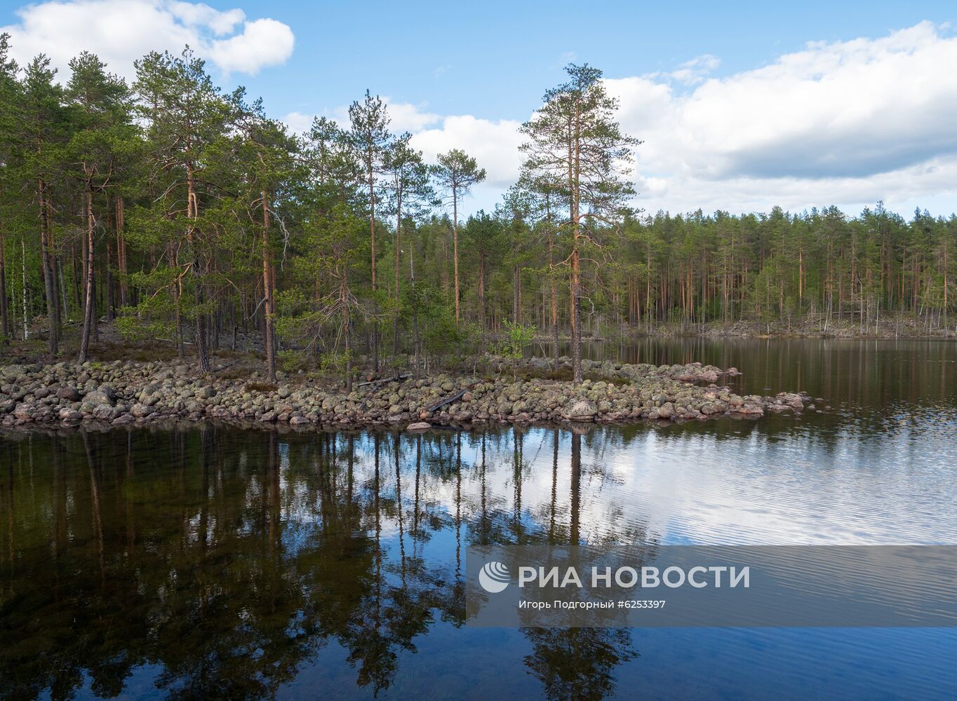 Уксинская озовая гряда в Карелии