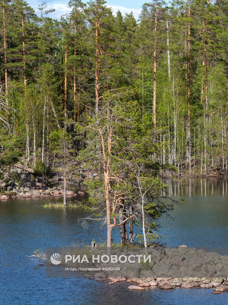 Уксинская озовая гряда в Карелии