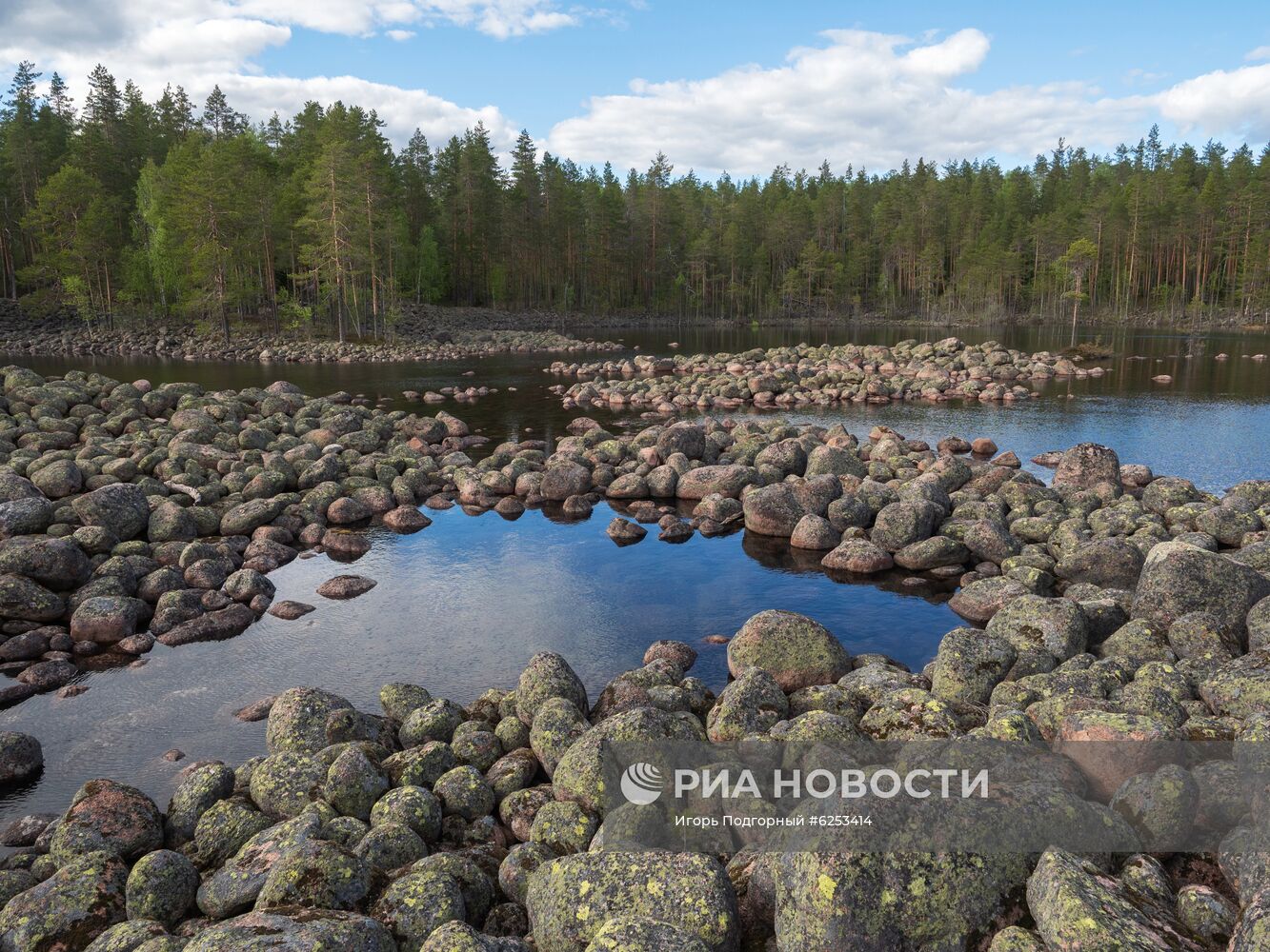 Уксинская озовая гряда в Карелии