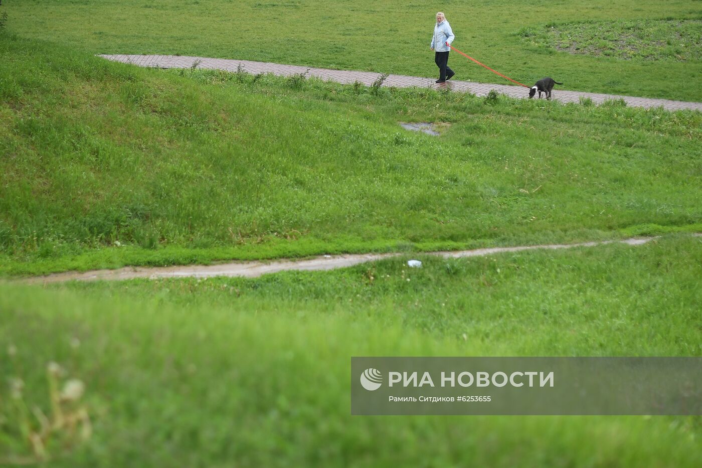 В Москве возобновили работу парки