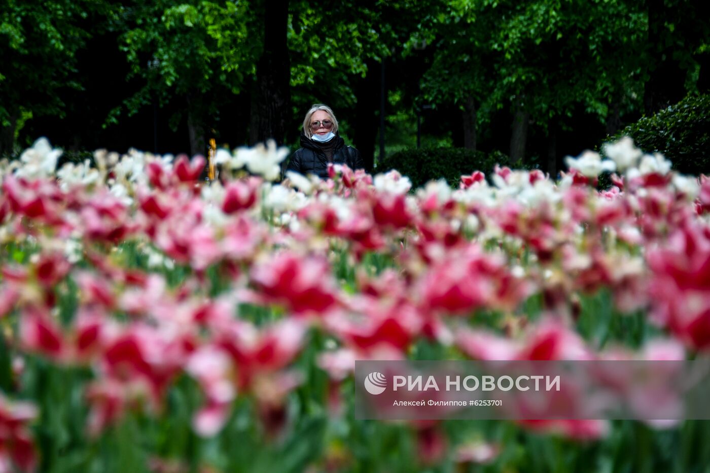 В Москве возобновили работу парки