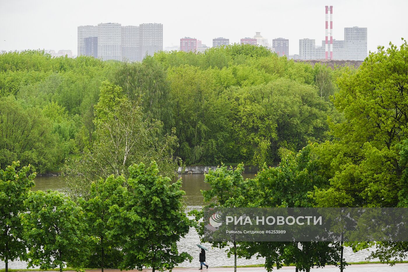 В Москве возобновили работу парки В Москве возобновили работу парки