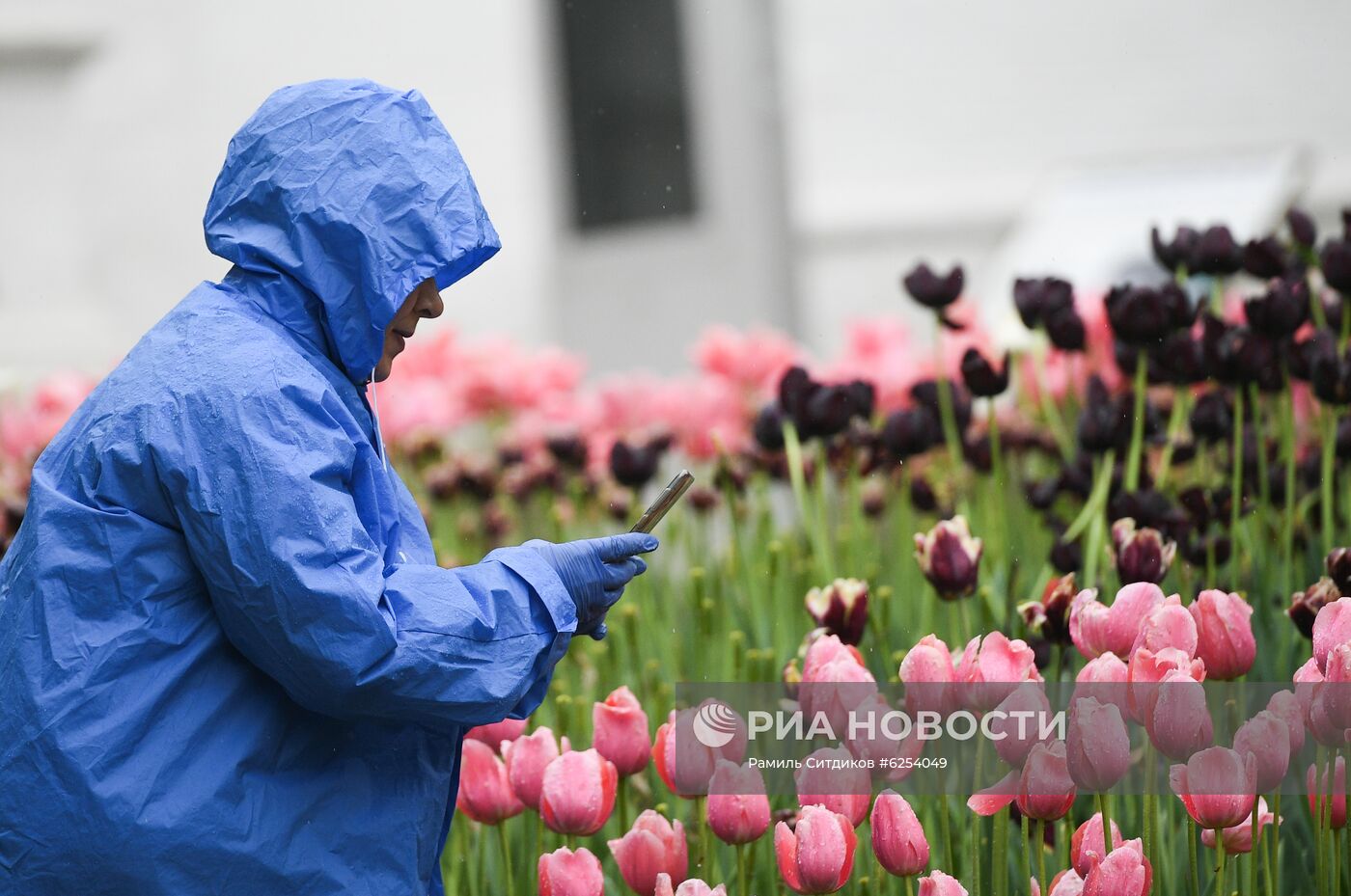 В Москве возобновили работу парки