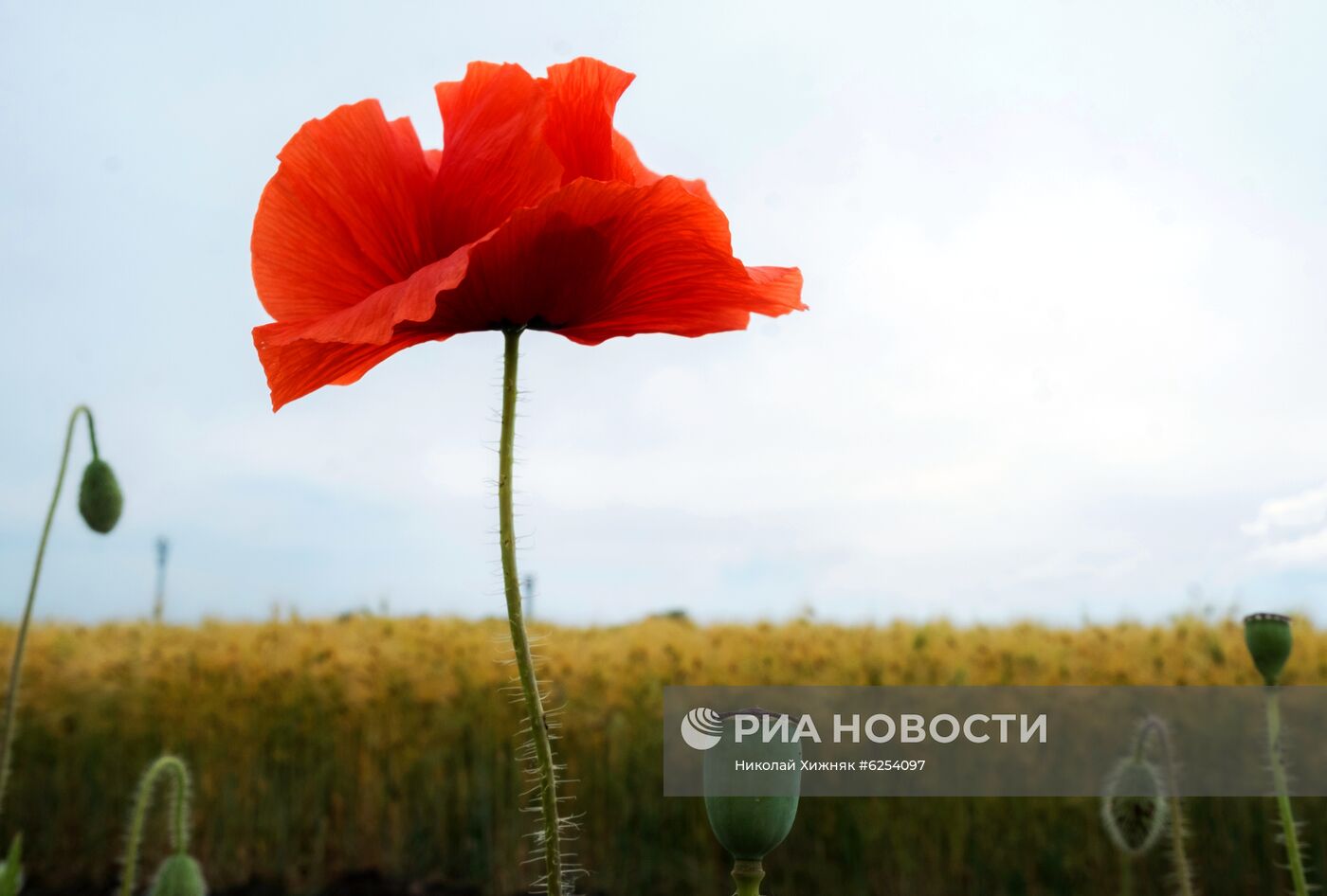 Регионы России. Краснодарский край