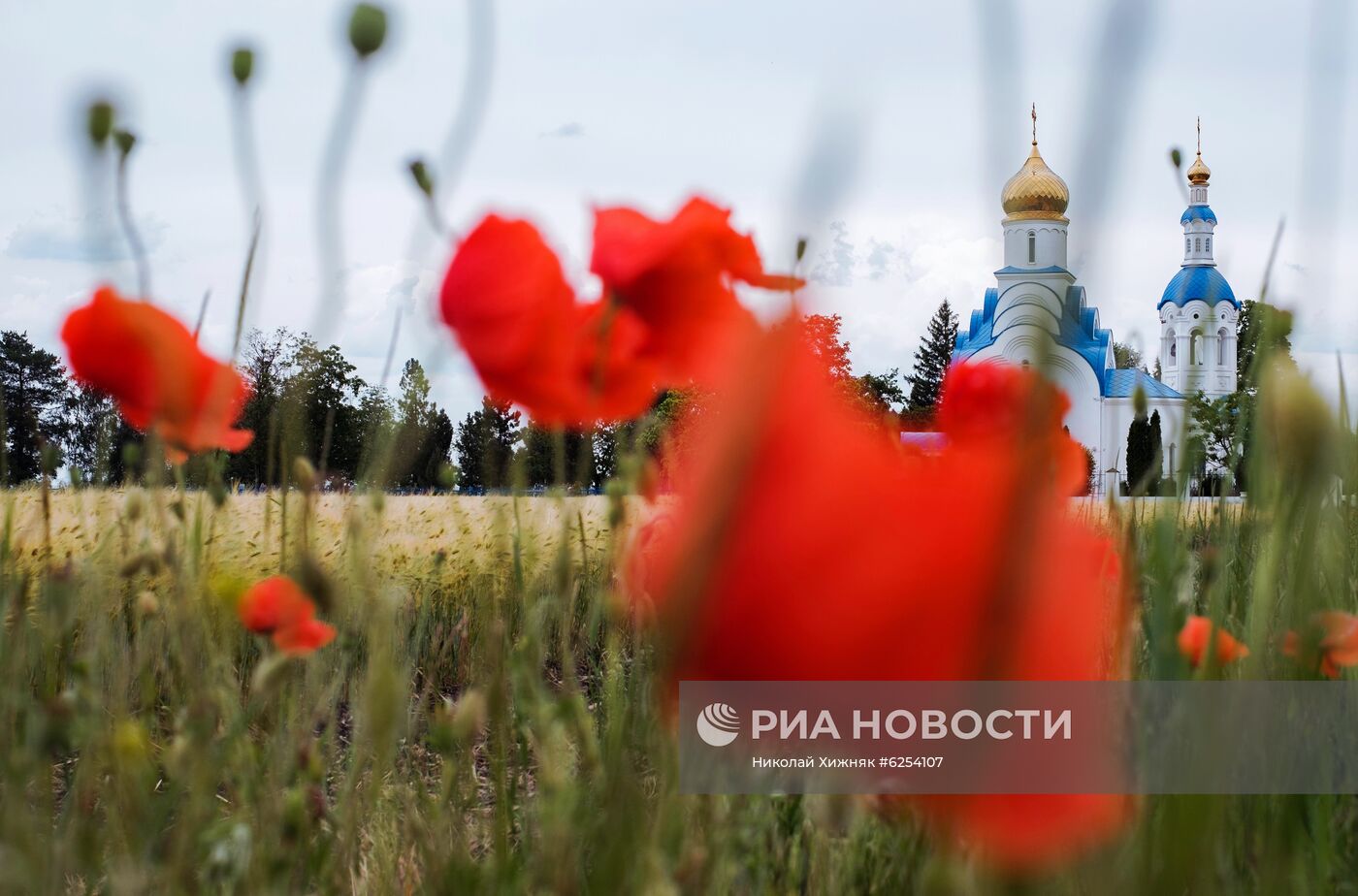 Регионы России. Краснодарский край