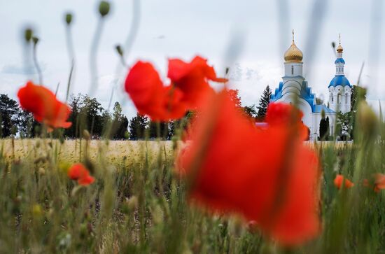 Регионы России. Краснодарский край