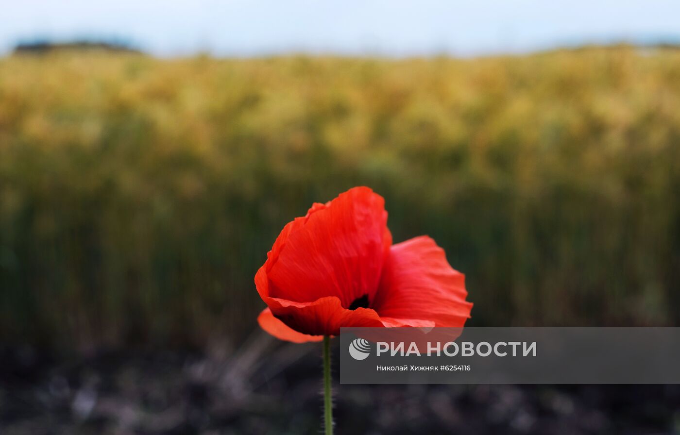 Регионы России. Краснодарский край