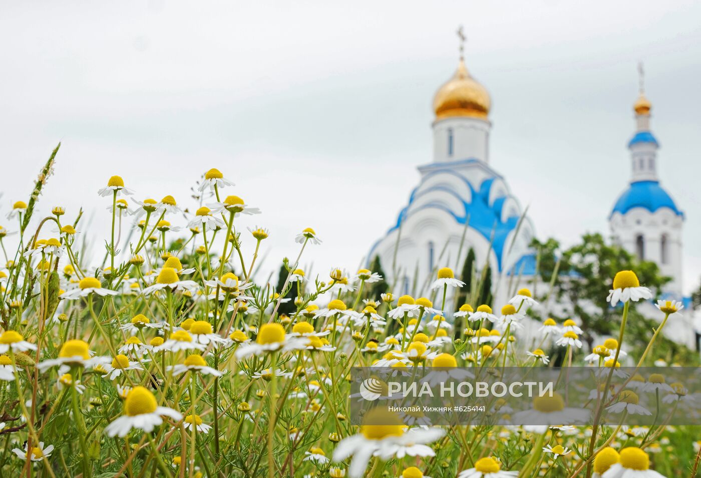 Регионы России. Краснодарский край