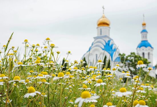 Регионы России. Краснодарский край