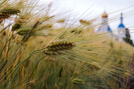 Регионы России. Краснодарский край