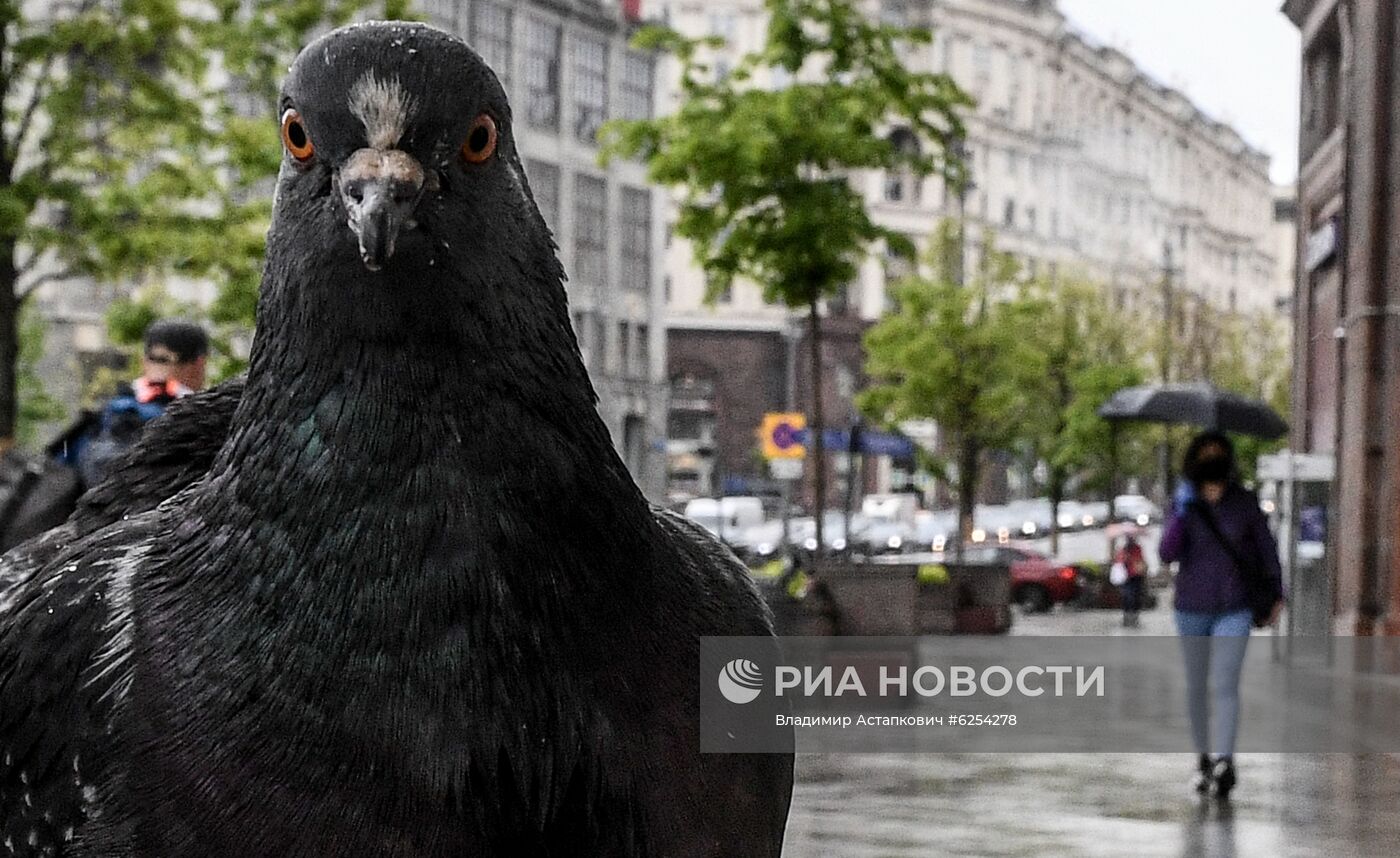 Москва во время режима самоизоляции жителей