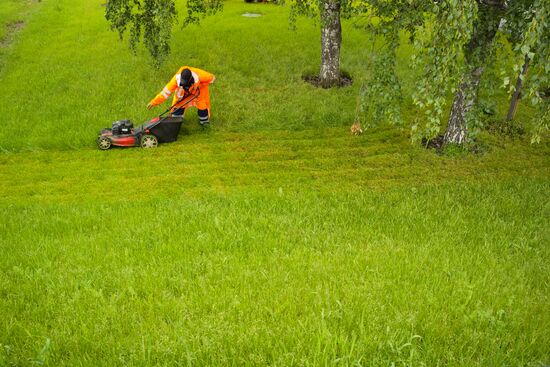 Стрижка травы