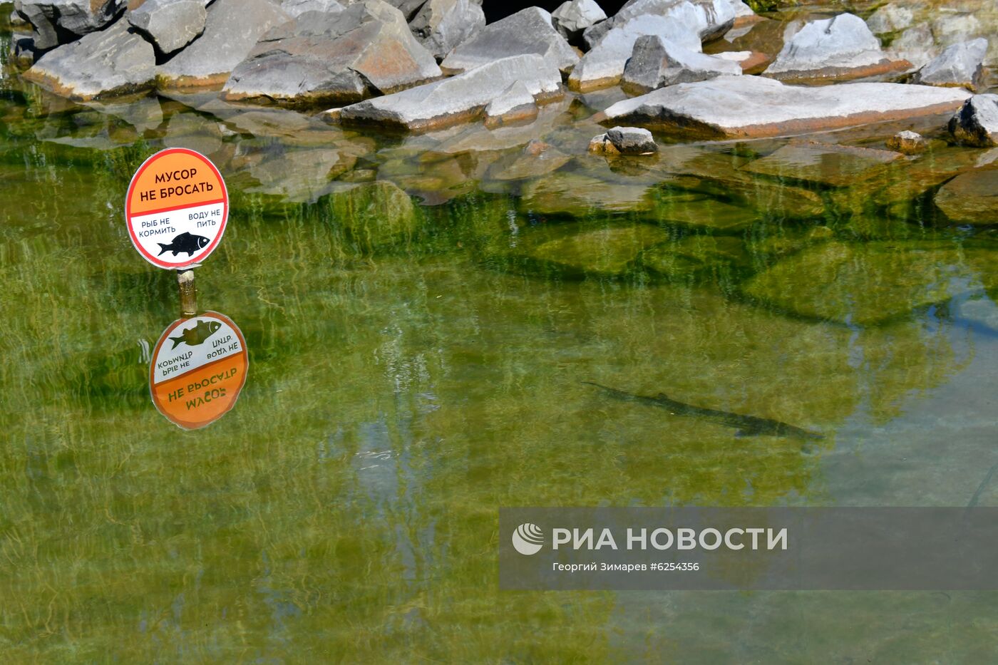 Подготовка Всероссийского детского центра "Орленок" к летнему сезону