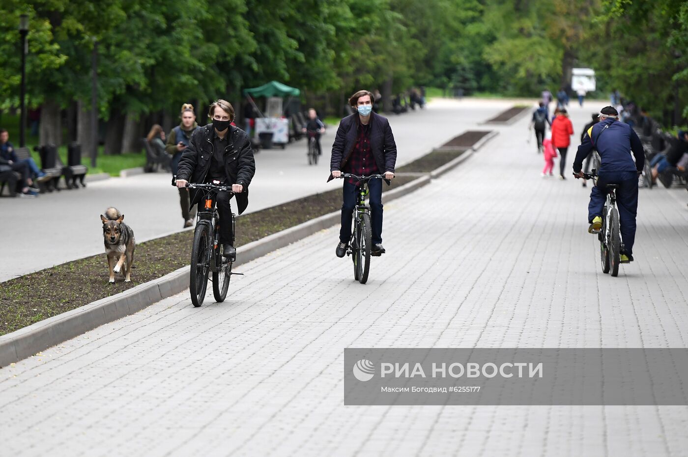 Отдыхающие в парке имени Горького в Казани
