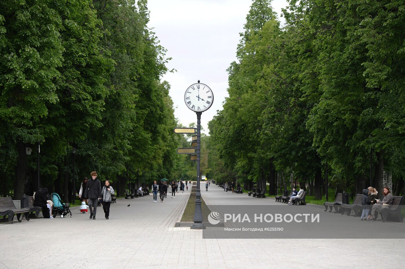 Отдыхающие в парке имени Горького в Казани