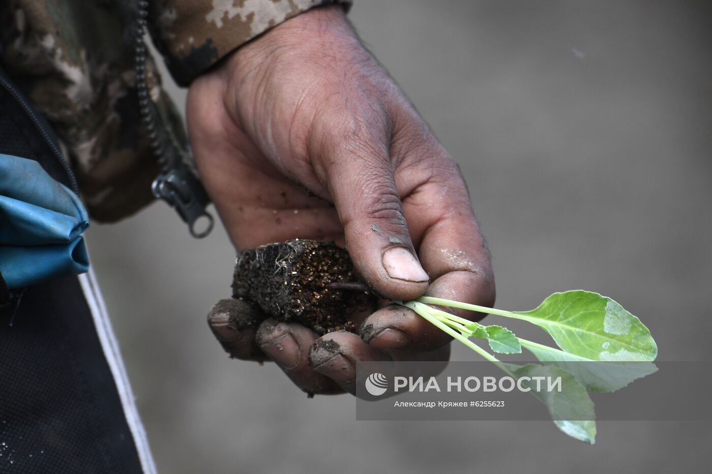 Сельскохозяйственное предприятие "Мичуринец" в Новосибирской области