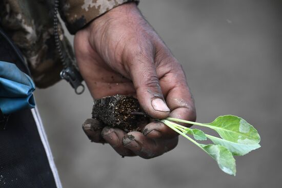 Сельскохозяйственное предприятие "Мичуринец" в Новосибирской области