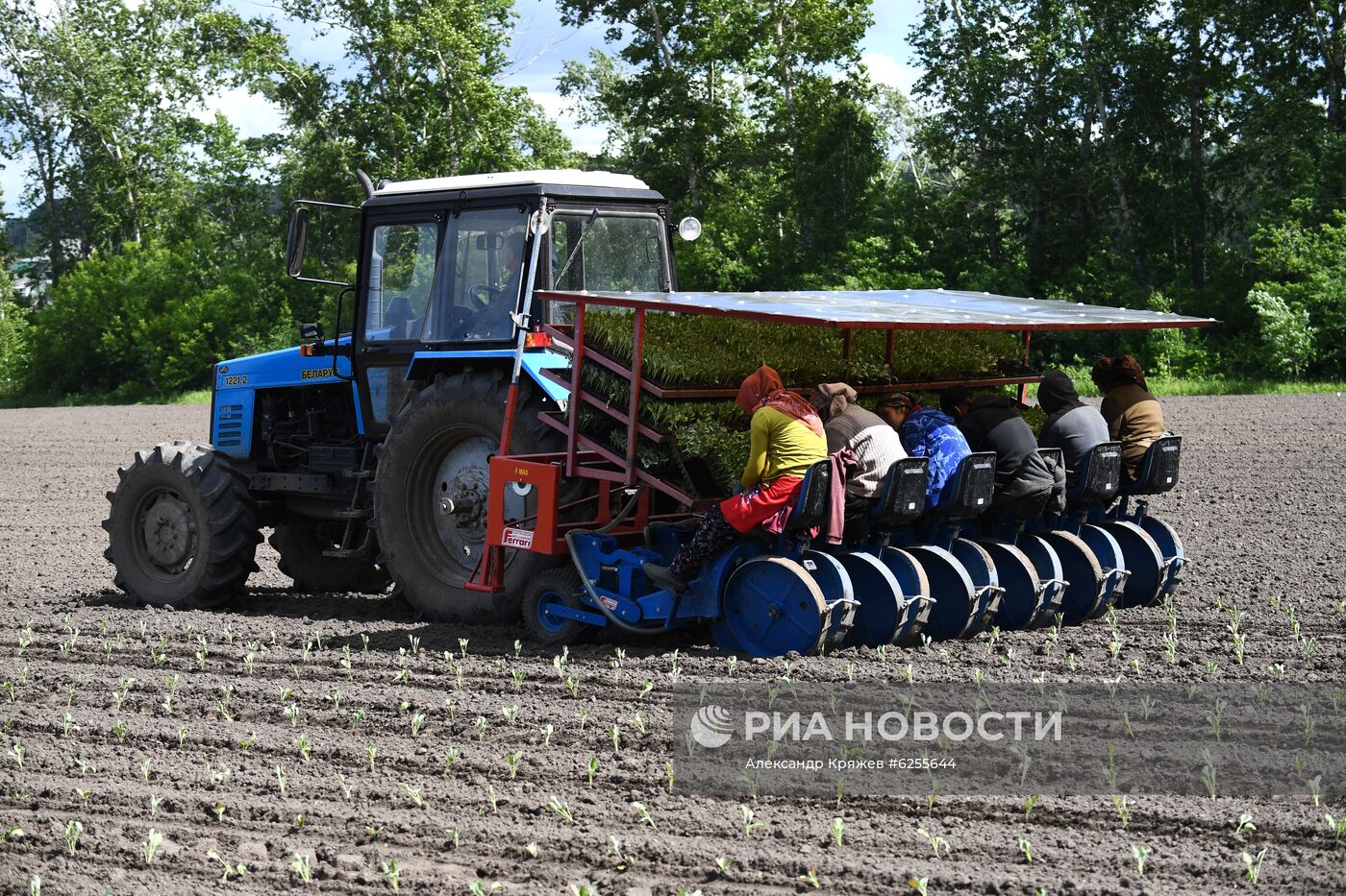 Сельскохозяйственное предприятие "Мичуринец" в Новосибирской области