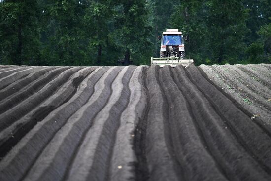 Сельскохозяйственное предприятие "Мичуринец" в Новосибирской области