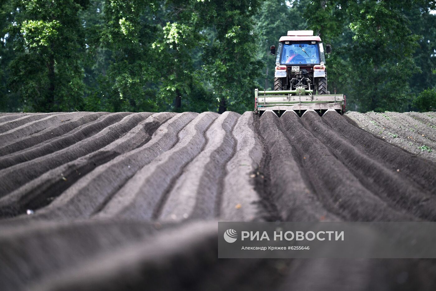 Сельскохозяйственное предприятие "Мичуринец" в Новосибирской области