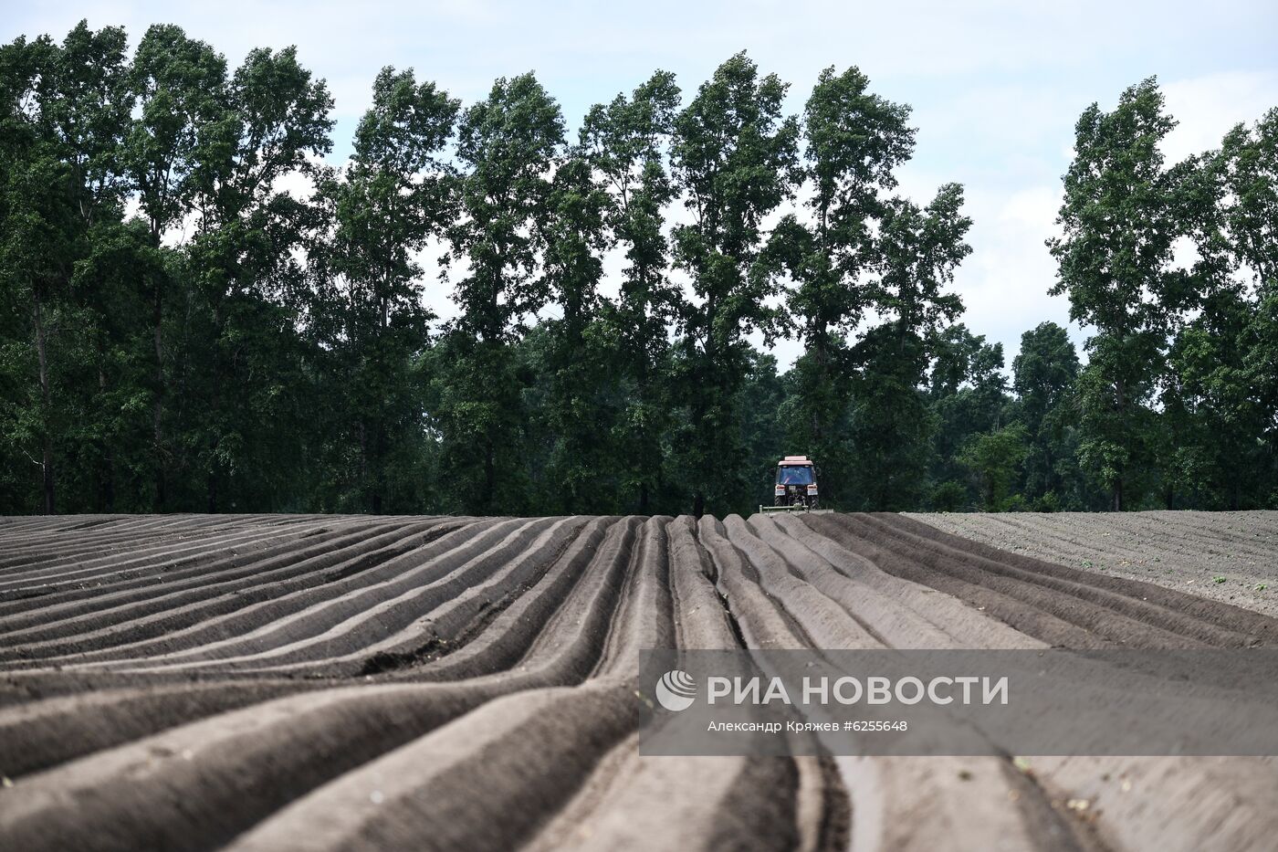 Сельскохозяйственное предприятие "Мичуринец" в Новосибирской области