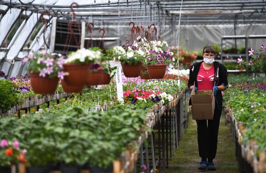 Сельскохозяйственное предприятие "Мичуринец" в Новосибирской области