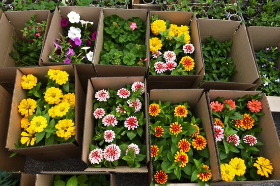 Сельскохозяйственное предприятие "Мичуринец" в Новосибирской области