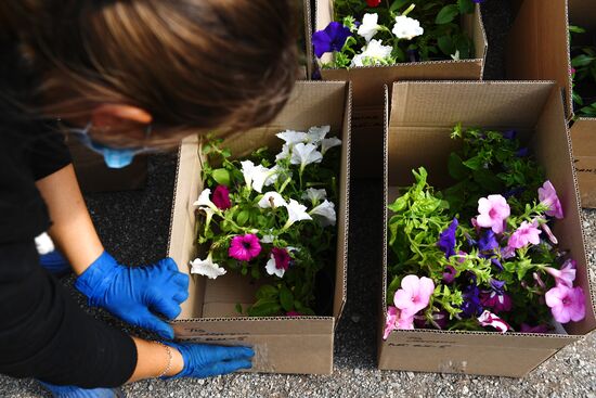 Сельскохозяйственное предприятие "Мичуринец" в Новосибирской области