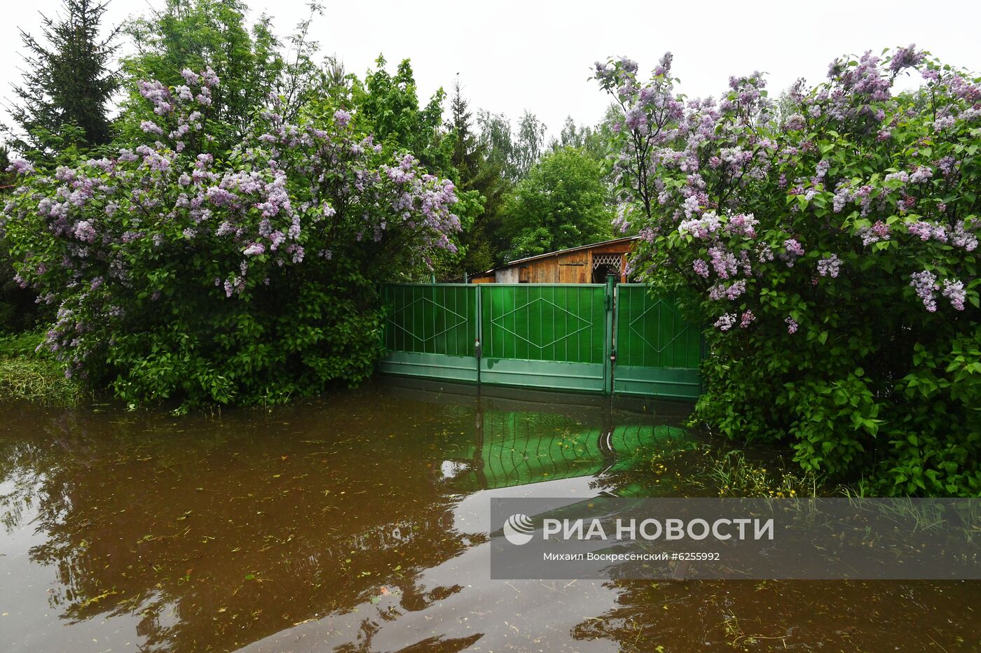 Подтопление дачного поселка в Подмосковье 