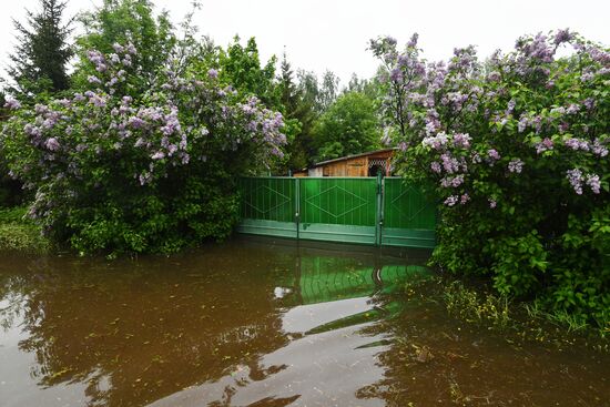 Подтопление дачного поселка в Подмосковье 