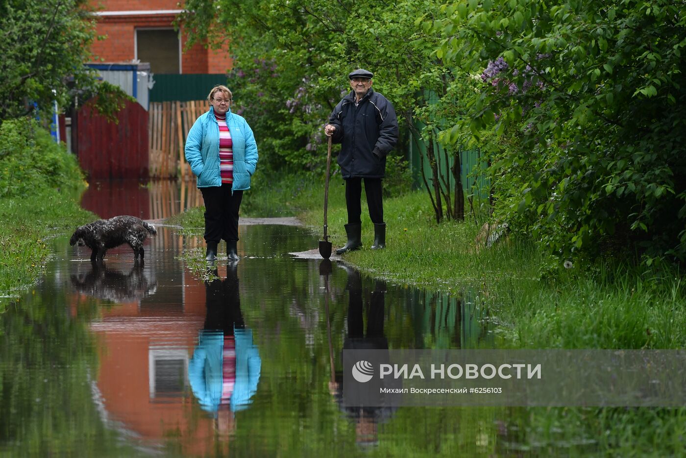 Подтопление дачного поселка в Подмосковье 