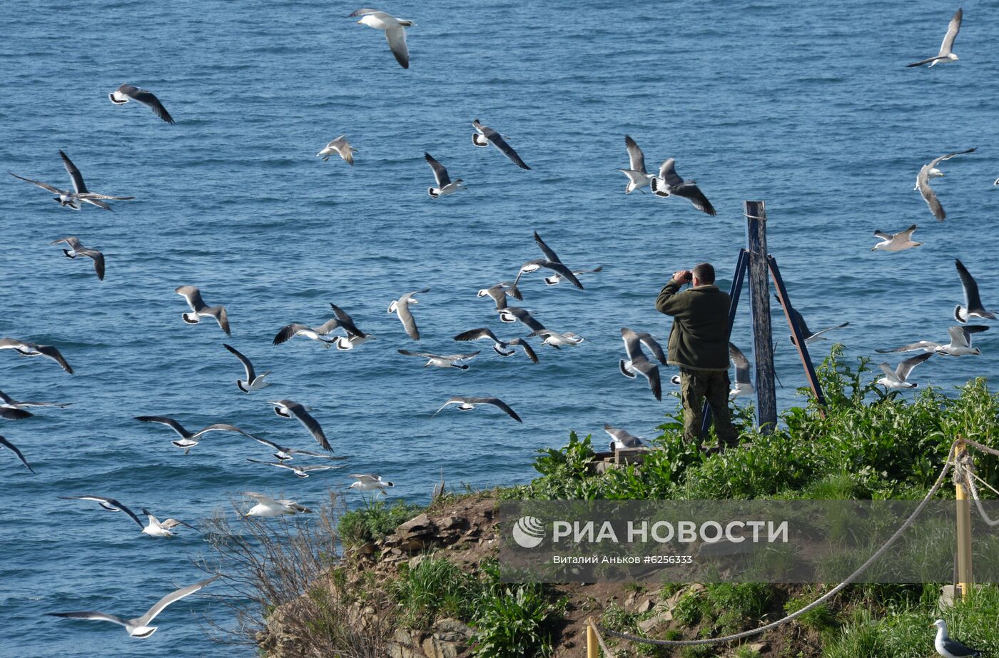 Мыс Басаргина в проливе Босфор Восточный