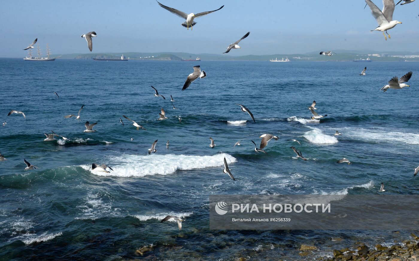 Мыс Басаргина в проливе Босфор Восточный