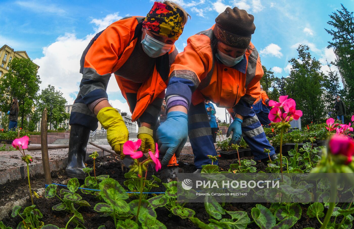 Высадка цветов в Москве