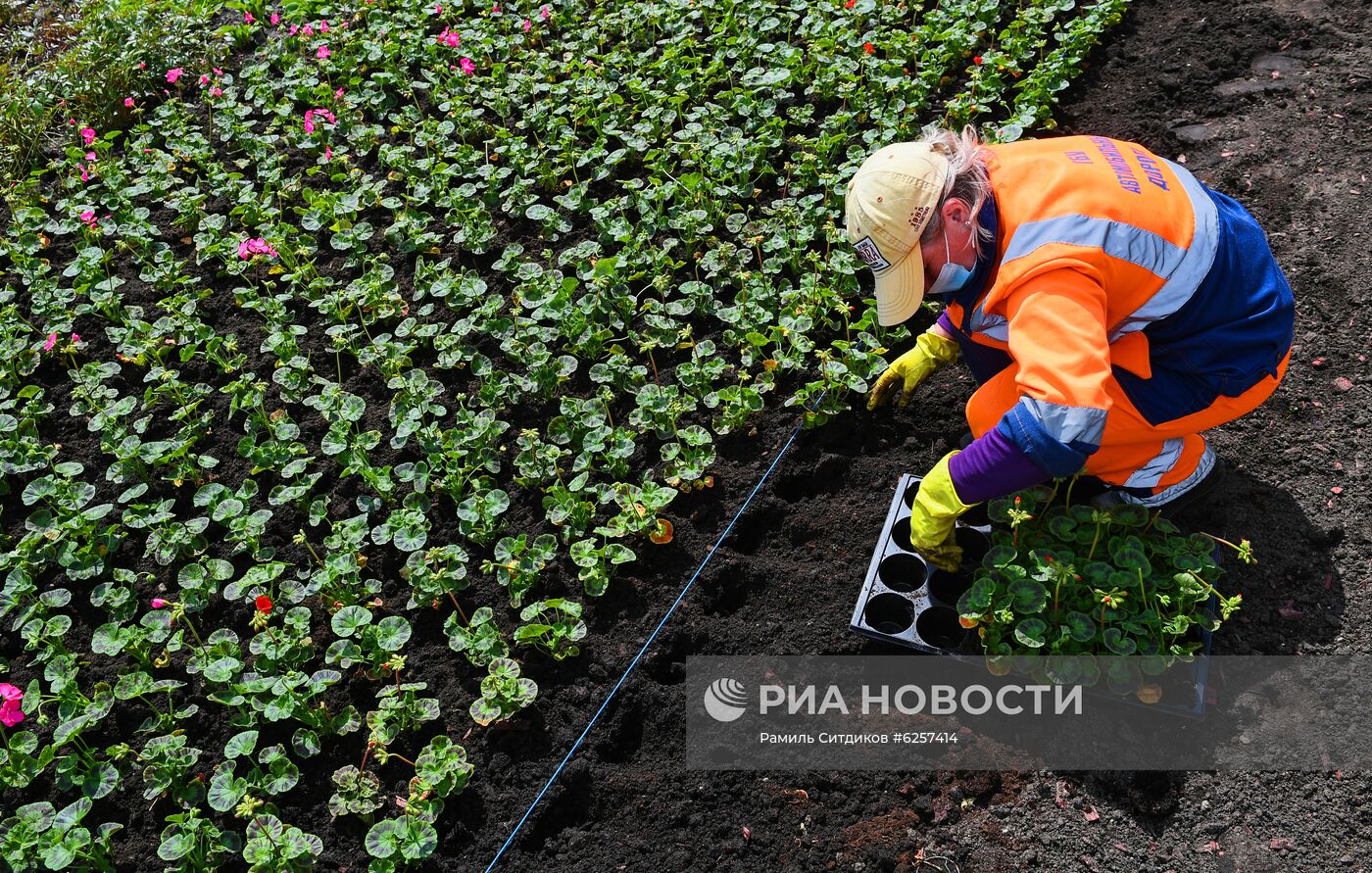 Высадка цветов в Москве