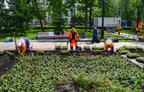 Высадка цветов в Москве