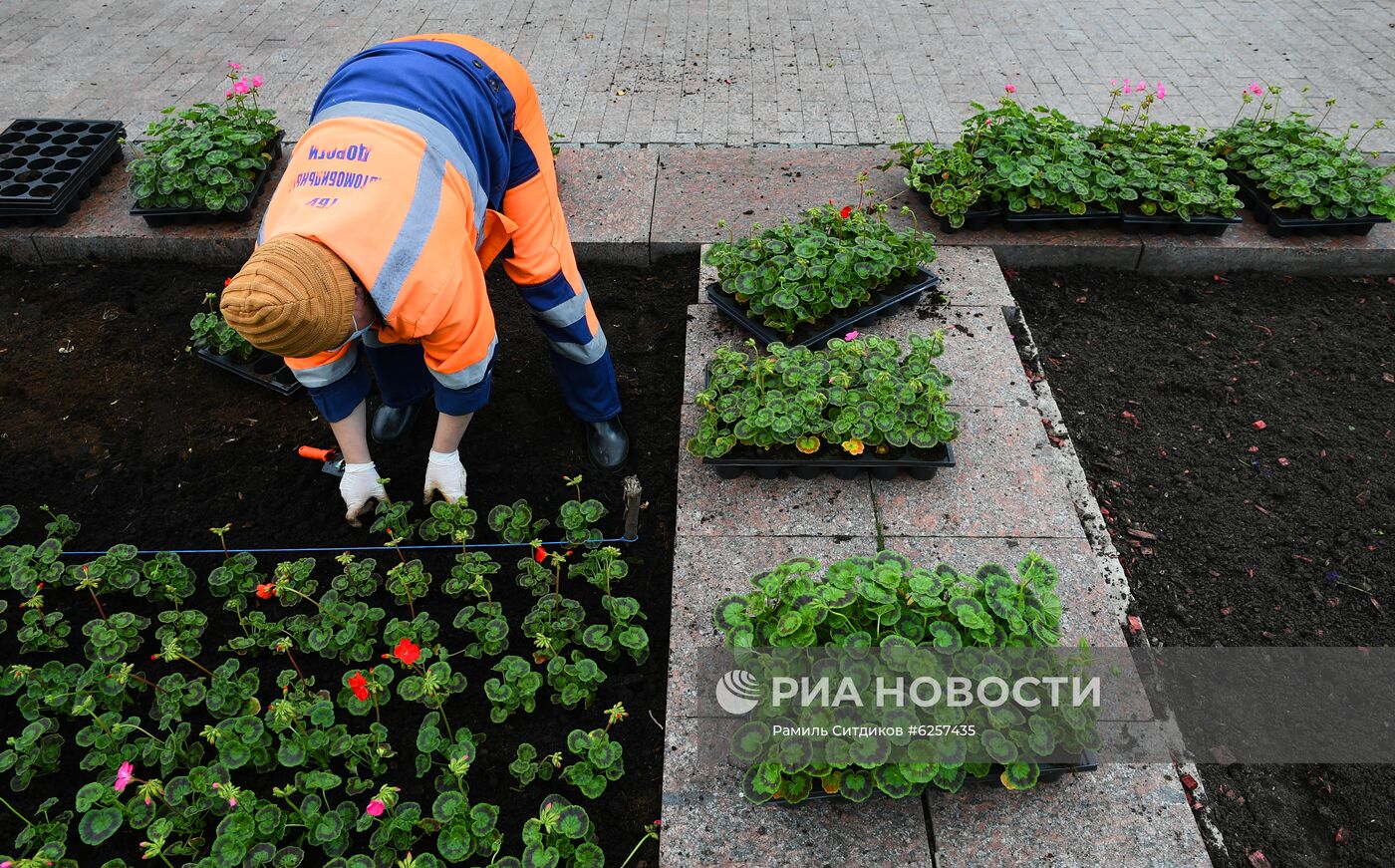 Высадка цветов в Москве