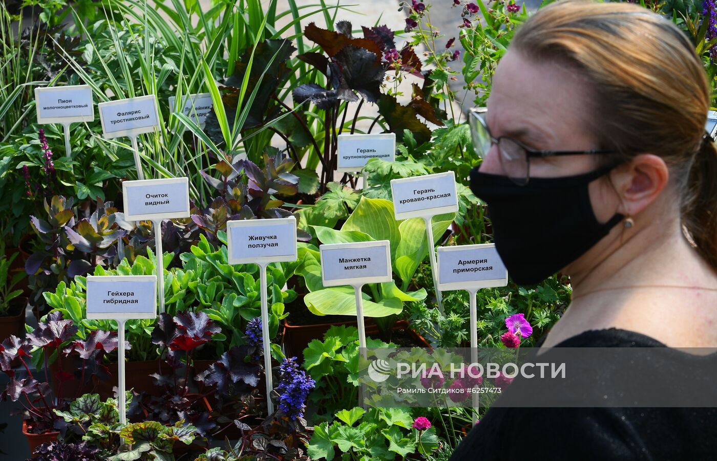 Высадка цветов в Москве