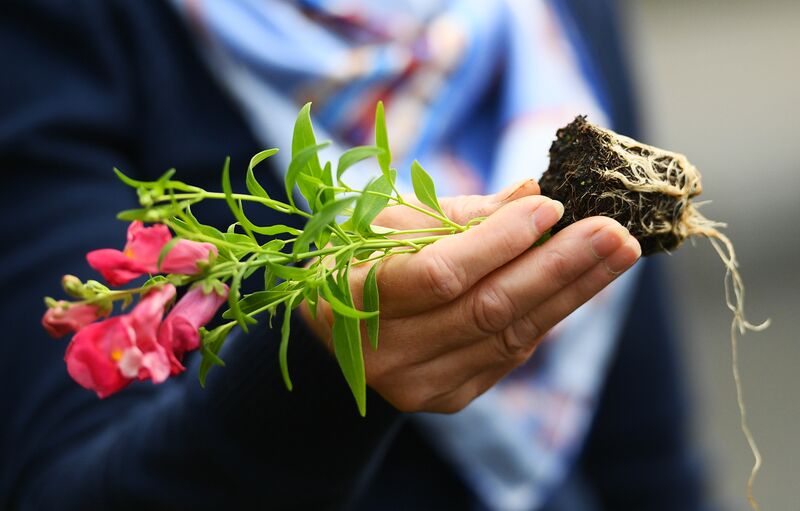 12 марта - День посадки цветов