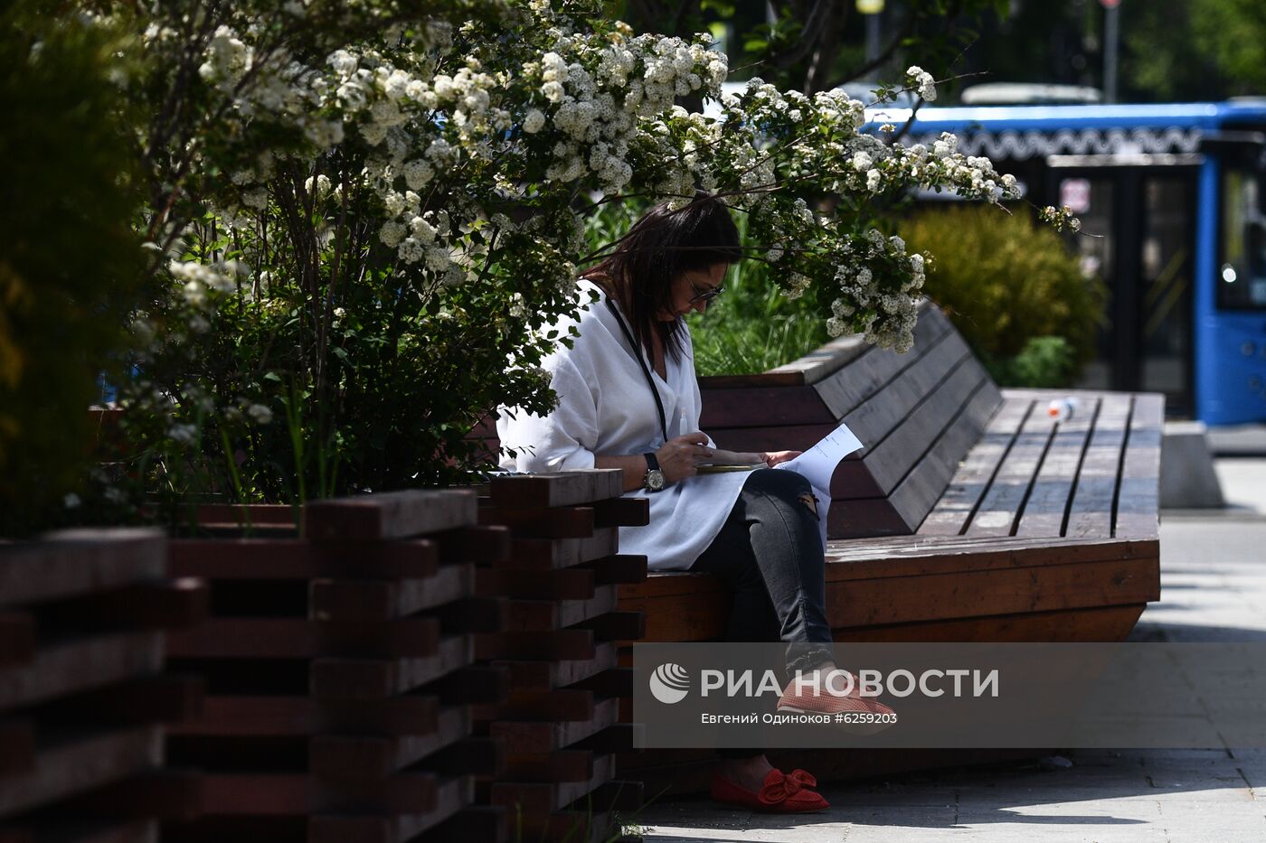 Теплая погода в Москве