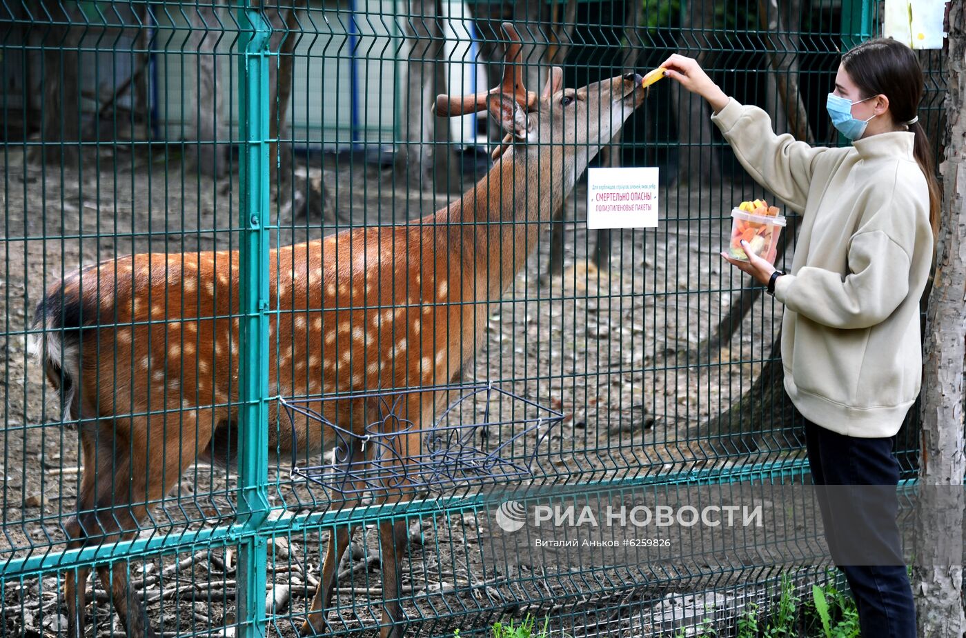 Зоопарк "Садгород" во Владивостоке открылся для посетителей