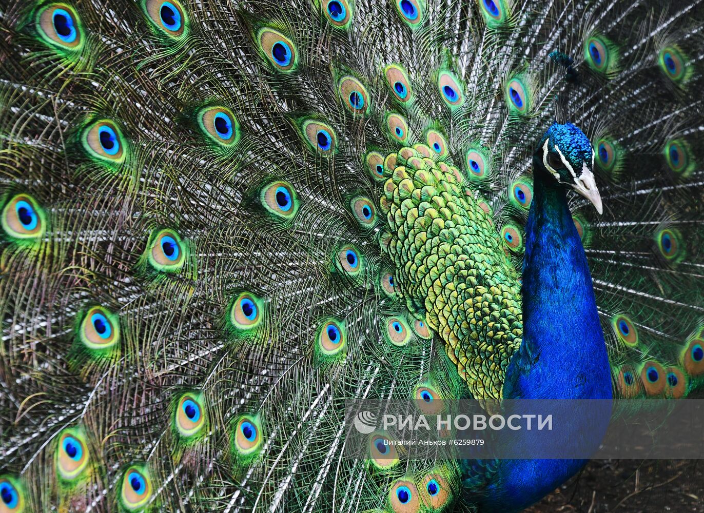 Зоопарк "Садгород" во Владивостоке открылся для посетителей