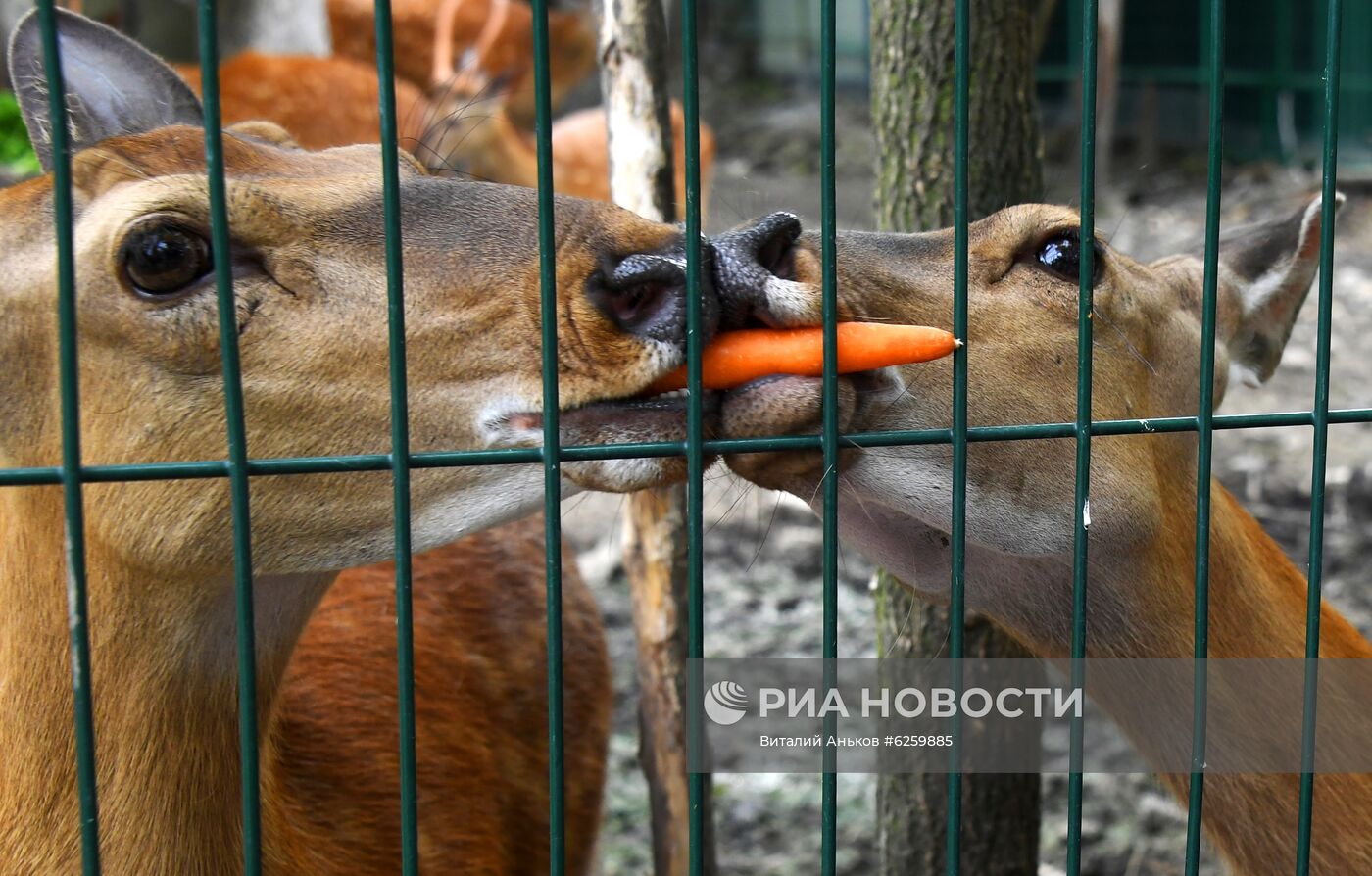 Зоопарк "Садгород" во Владивостоке открылся для посетителей