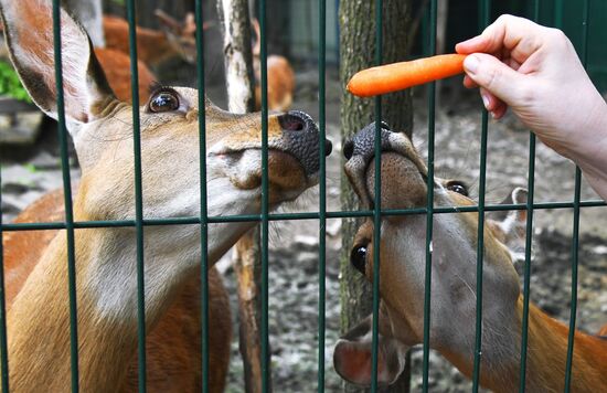 Зоопарк "Садгород" во Владивостоке открылся для посетителей 