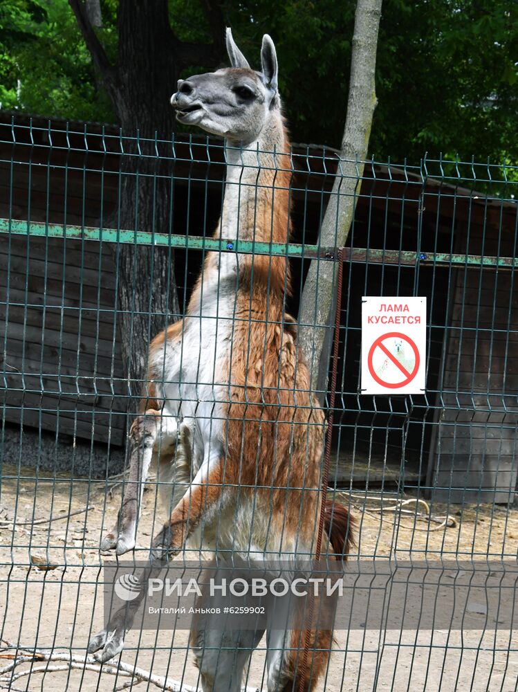 Зоопарк "Садгород" во Владивостоке открылся для посетителей