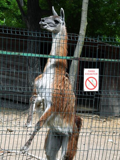 Зоопарк "Садгород" во Владивостоке открылся для посетителей 