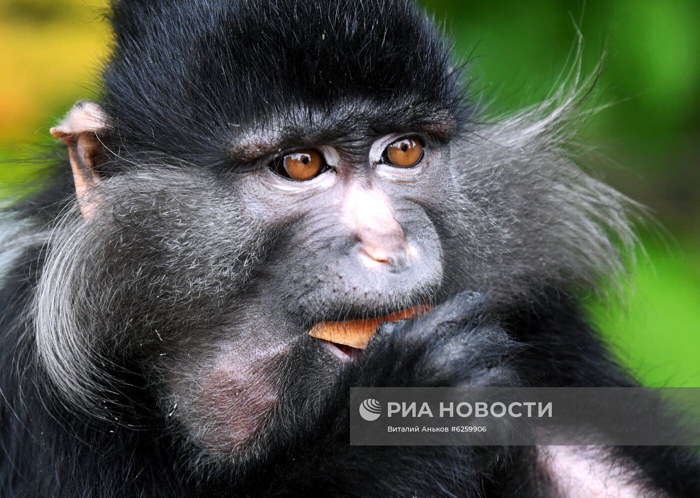 Зоопарк "Садгород" во Владивостоке открылся для посетителей 