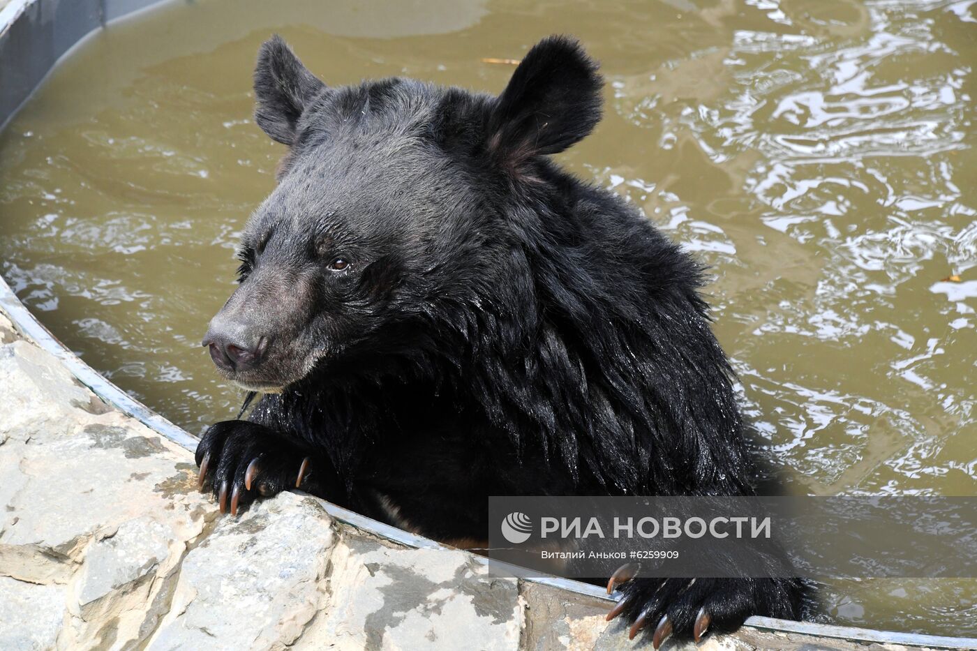 Зоопарк "Садгород" во Владивостоке открылся для посетителей